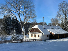 Hamerská chaloupka, Hlinsko V Cechách